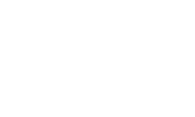 Talenscio owl icon watermark